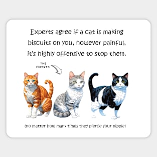 Experts agree if a cat is making biscuits on you - funny watercolour cat design Magnet